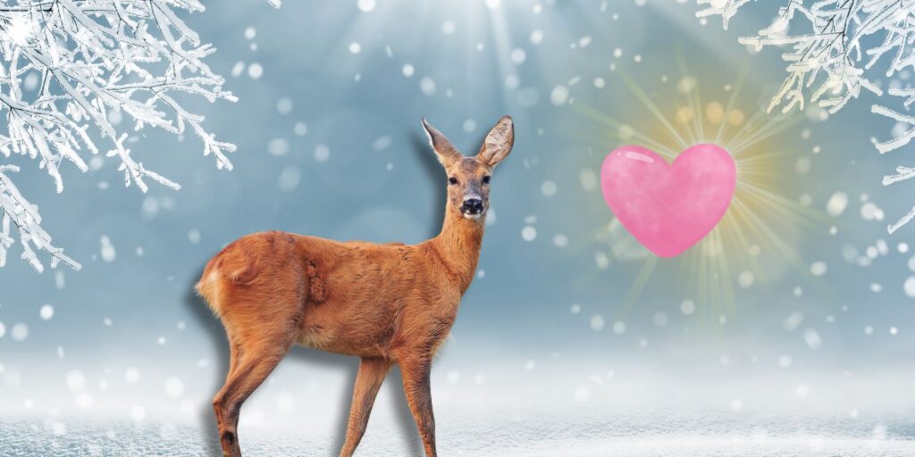 Spread Love & shine your Light